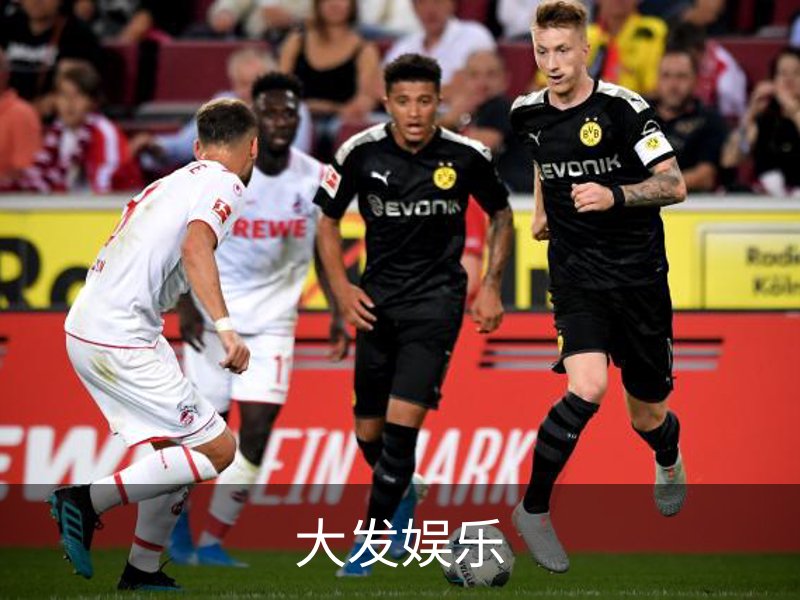 关于大发娱乐